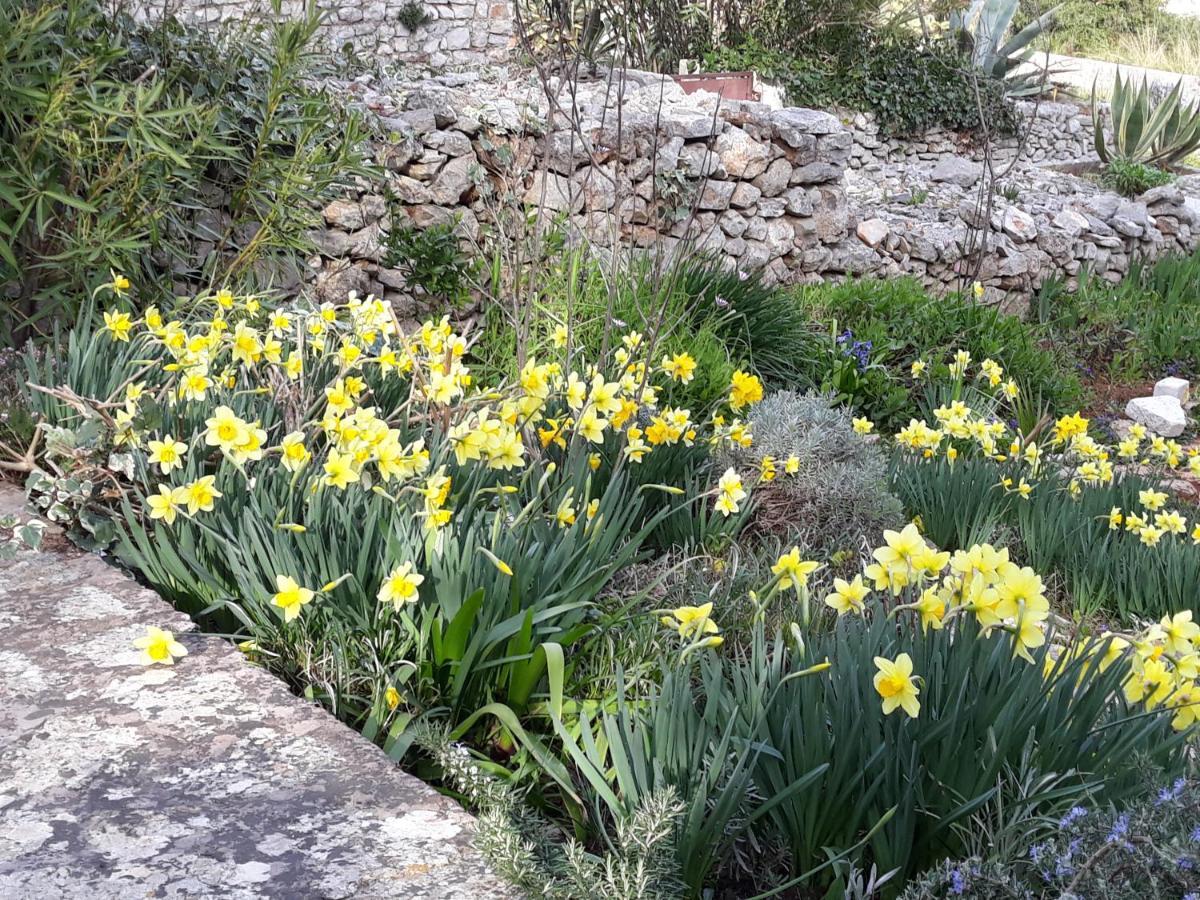 Holiday Home Villa Esperanca Veli Lošinj Zewnętrze zdjęcie