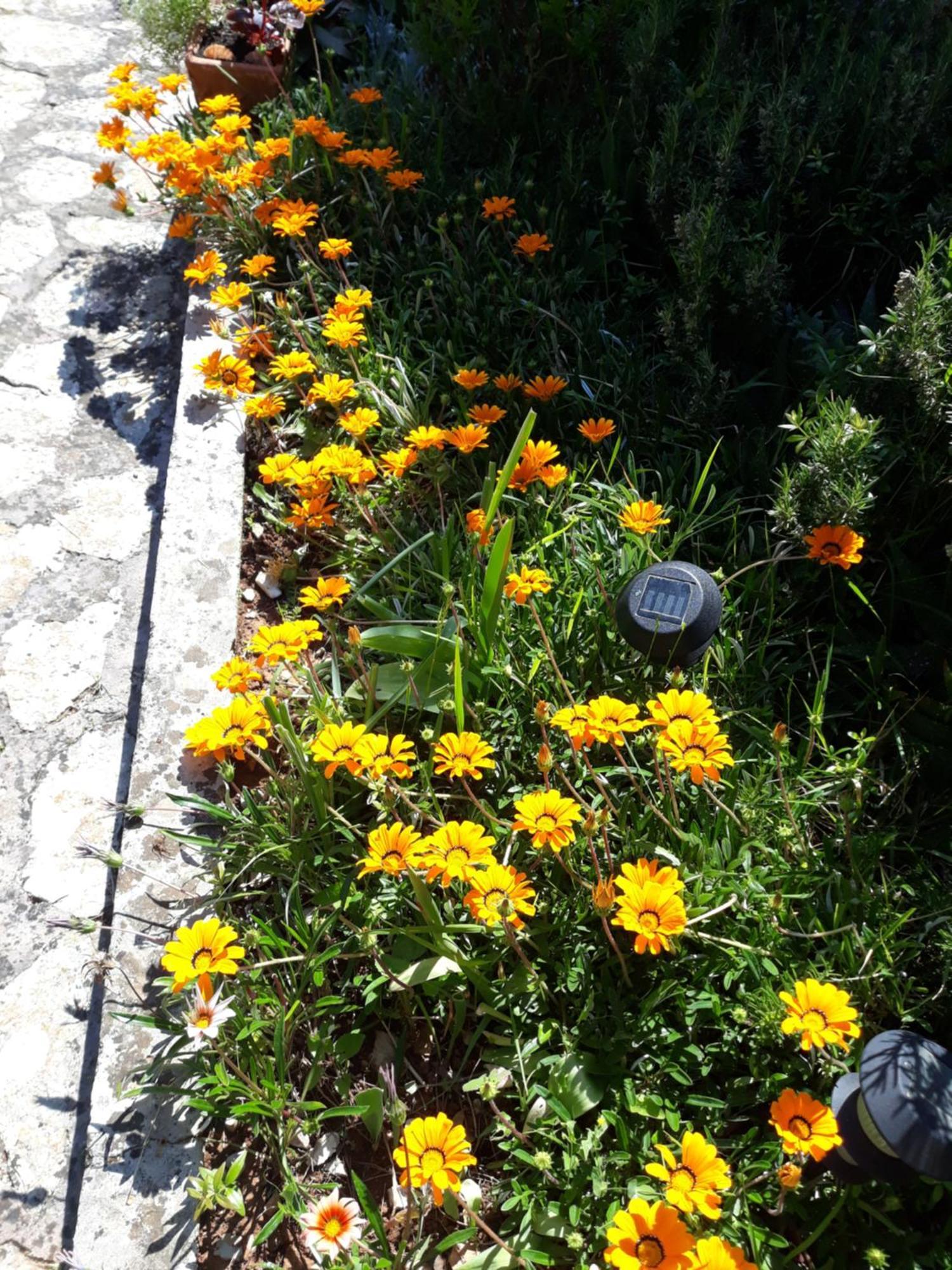 Holiday Home Villa Esperanca Veli Lošinj Zewnętrze zdjęcie