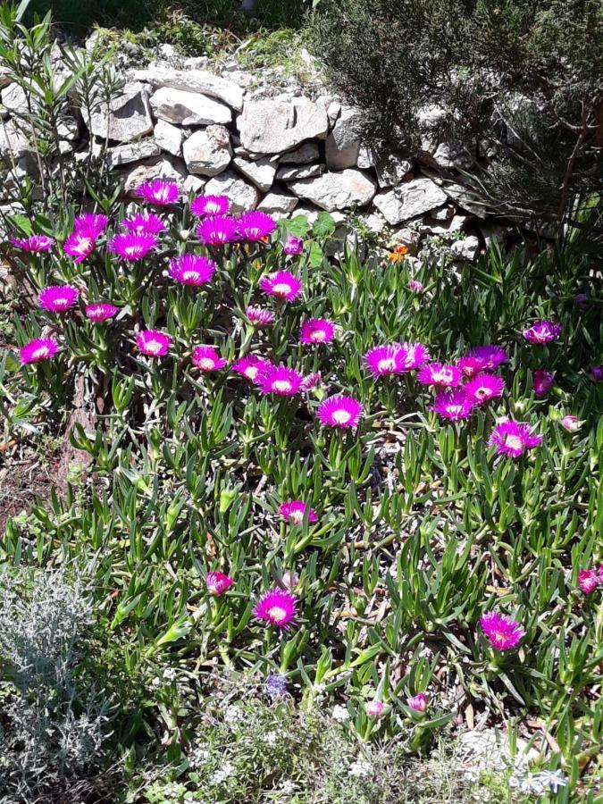 Holiday Home Villa Esperanca Veli Lošinj Zewnętrze zdjęcie